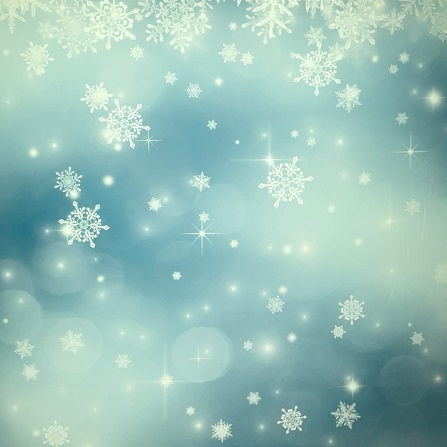 Pillow Holiday Winter Blue 